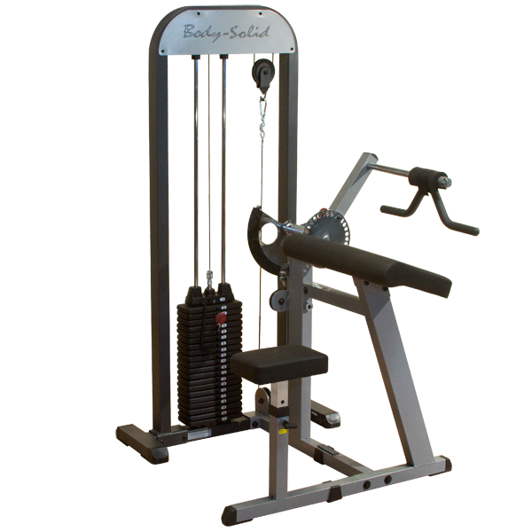 Body-Solid Pro-Select Biceps & Triceps Machine GCBT-STK