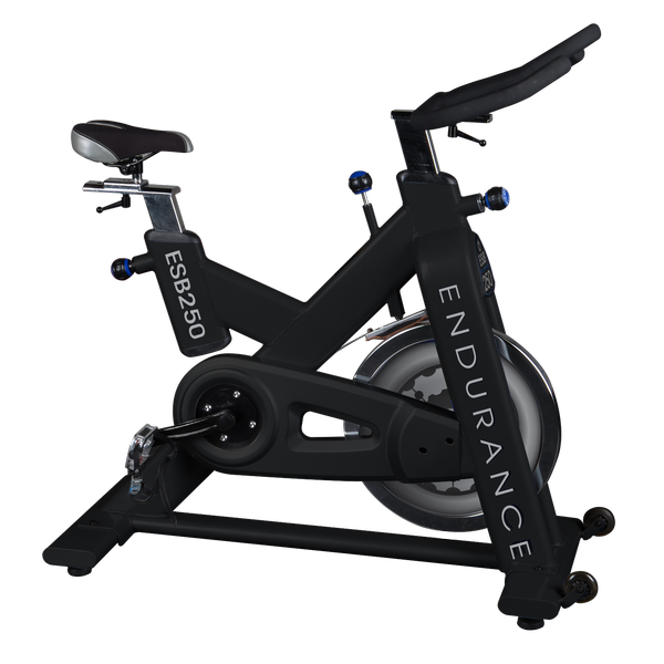 Body-Solid Endurance Exercise Bike ESB250